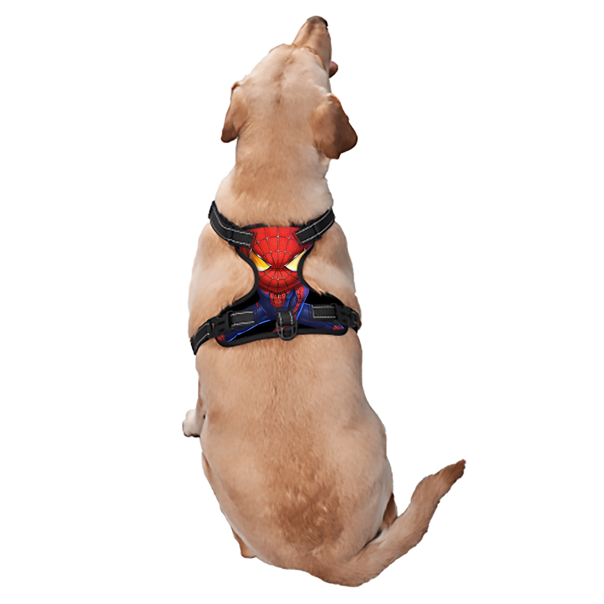 （画像用） Spider Man スパイダーマン ペット用ハーネス